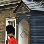 The Queen's Guard